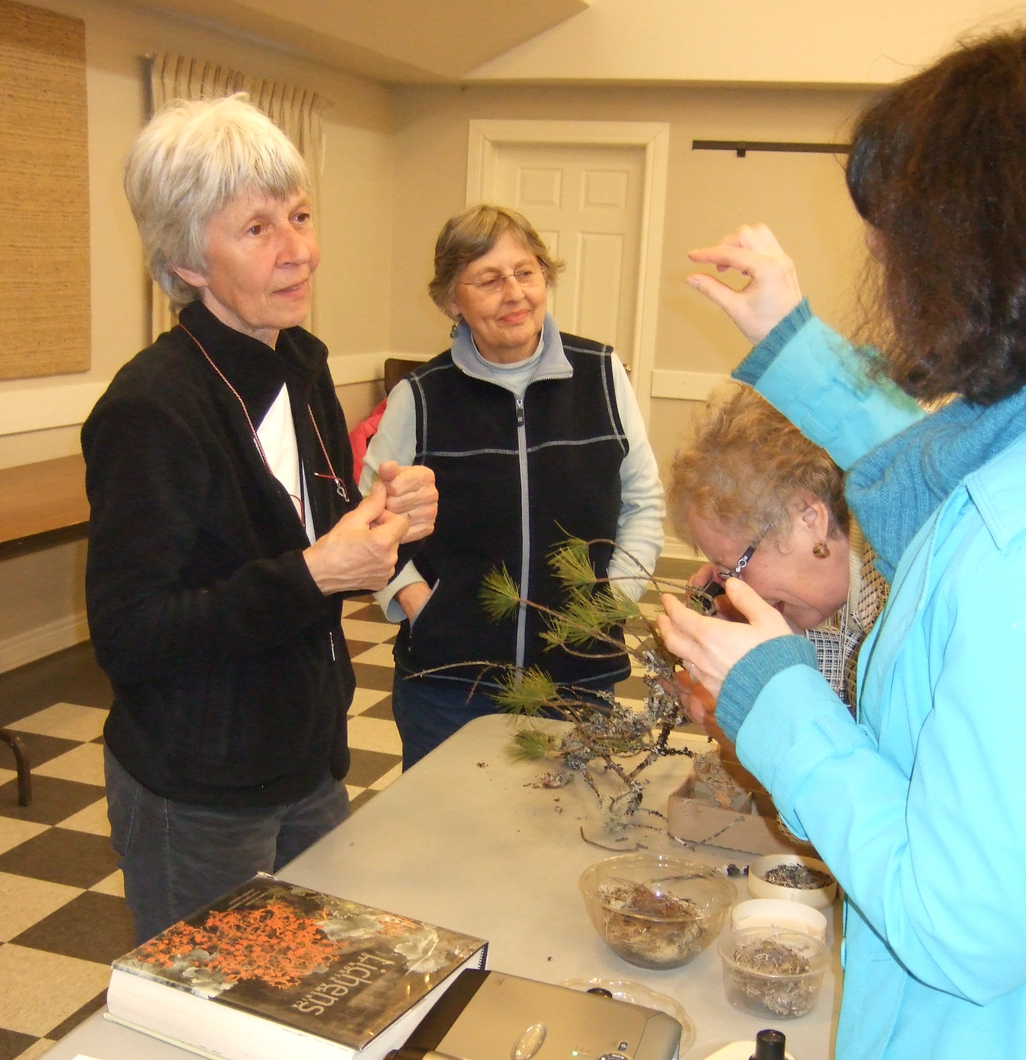 Checking out lichen specimens.